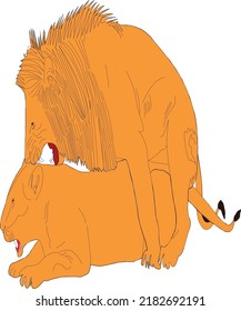 A lion is a king of a forest . Two lion love each other . They are playing game .