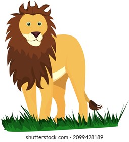 Lion the king, illustration, vector on a white background.