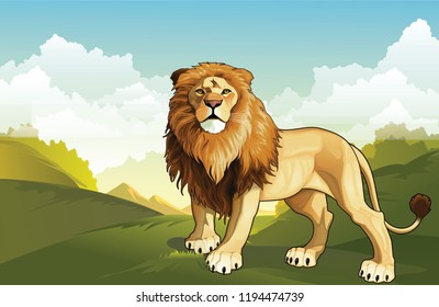 Lion - King of Jungle