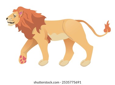 León o rey de la selva, Ilustración vectorial con un fondo blanco sólido de una fauna felina africana. Ilustración vectorial.