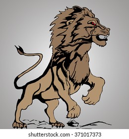 Lion king. Vector isolated animal.