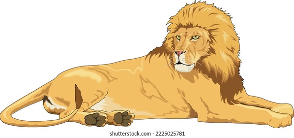 Lion Laying Down Vector Illustration