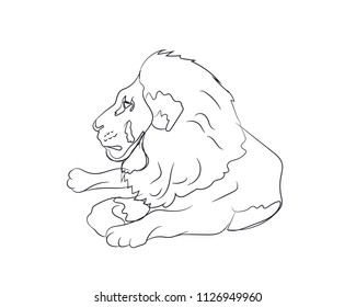 lion lies, lines, vector, white background