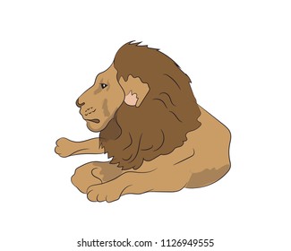 lion lies, vector. White background