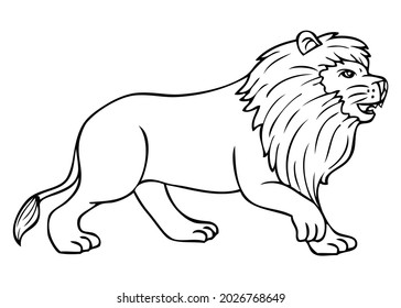 lion line vector illustration,isolated on white background,top view