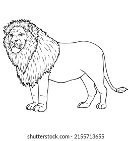 lion line vector illustration,isolated on white background,top view