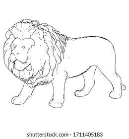 Lion lines illustration. Abstract vector lion on the white background