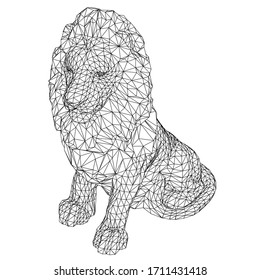 Lion lines illustration. Abstract vector lion on the white background