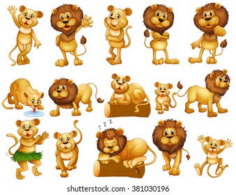 Lion and lioness in different actions illustration