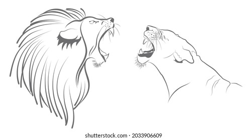 Lion and lioness fighting illustration, Vector line art of male and female animals, Two predators quarrelling outline image