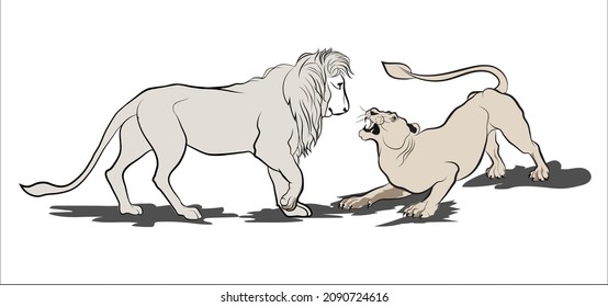 Lion and lioness fighting illustration, Vector drawing of two animals, Line art of big cats