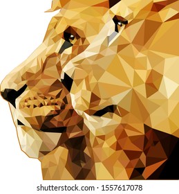 Lion and lioness look one way in the low poly style. Vector stock illustration