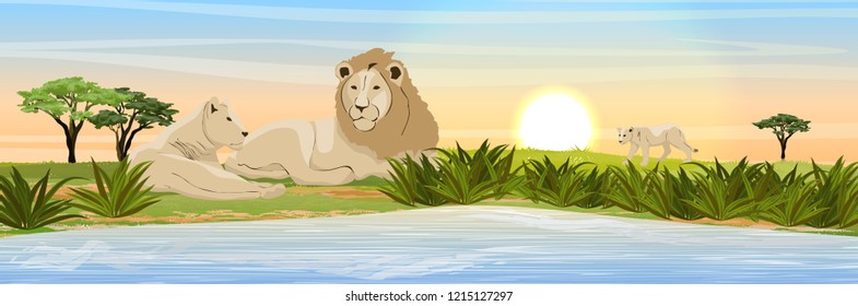 A lion and a lioness are resting in the African savannah near the lake. Wildlife of Africa. Realistic Vector Landscape