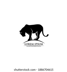 Lion, lioness symbol - big cat panther sign - vector illustration