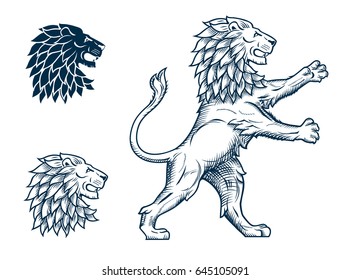 Lion and Lions Head Illustration