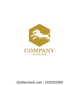 lion logo design