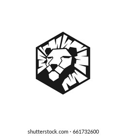 Lion Logo Design I