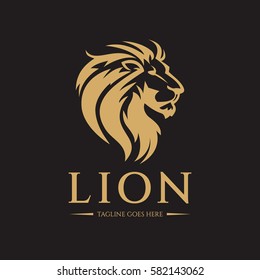 Lion logo design template. Lion head logo. Vector illustration