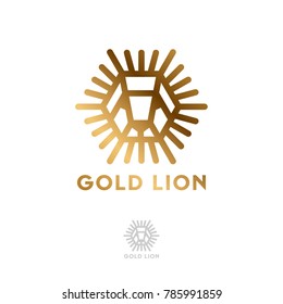 Lion logo. The golden head of a lion with rays like the sun. Kids wear hexagon logo. Geometric emblem of the lion.