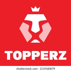 lion logo with a very unique concept