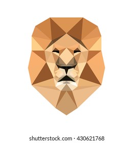 Lion low poly portrait. Abstract symmetric geometric lion head. Front view. Triangles