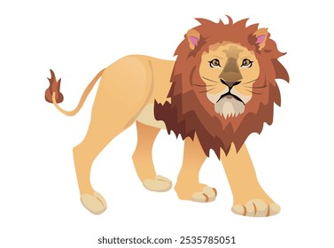 León con melena exuberante, Ilustración vectorial con un fondo sólido blanco de una fauna felina africana. Ilustración vectorial.