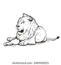 Lion lying engraving vector illustration. Lion with beautiful mane hand drawing.