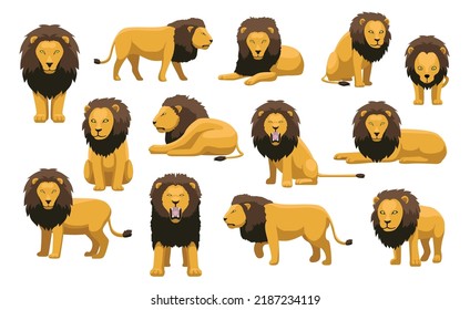 Lion Male Thirteen Poses Cartoon Cute Vector Illustration