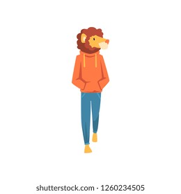 Lion man, lion head animal character wearing trendy clothes vector Illustration on a white background
