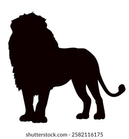 lion with mane silhouette on white background vector