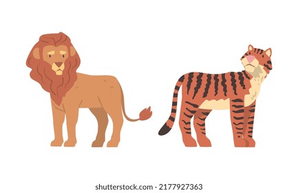 Lion with Mane and Striped Tiger as Wild African Animal Living in Savannah Vector Set