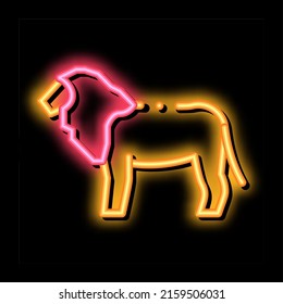 Lion neon light sign vector. Glowing bright icon Lion sign. transparent symbol illustration