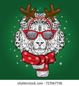 Lion in the New Year costume. Leo with horns in a scarf and sunglasses. Vector illustration for a card or poster. Christmas and New Year.