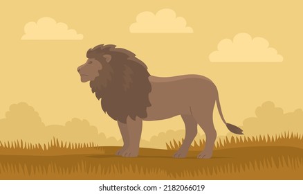 Lion on the background of the wild savannah. Big cat hunter with a mane. Predatory animal mammal of Africa. King lion. Fauna and zoology. Cartoon vector illustration