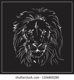 Lion on a black background