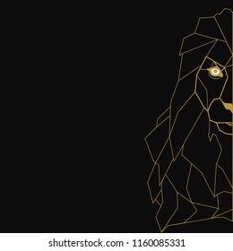 Lion on the black background