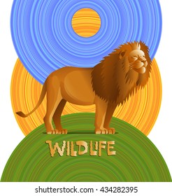 Lion on a green hill, blue sky and sun. Vector illustration.