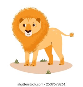 Lion on a safari journey. Lion in its natural habitat. Wild jungle animal. Flat vector savannah character isolated on white background.