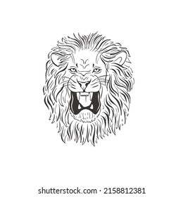 León de fondo blanco. Animal salvaje vectorial. Safari.