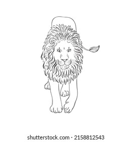 Lion on white background. Vector Wild Animal. Safari.
