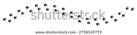 Lion Paw Footprint Silhouette Vector for Wildlife Tracking, Safari, and Animal Trail Illustration