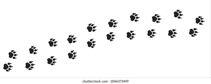 Lion paw print trail. Dog, cat paws foot print trace. background vector illustration.