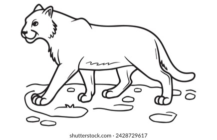 lion pencil drawing coloring book. Vector illustration