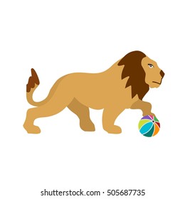 Lion Performing