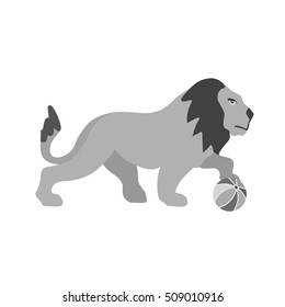 Lion Performing