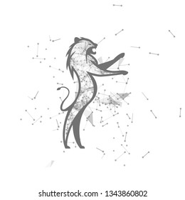 lion.  Polygonal wireframe lion silhouette. low poly vector illustrations on background of points and lines.