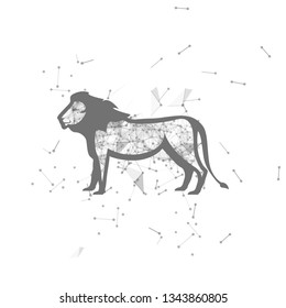 lion.  Polygonal wireframe lion silhouette. low poly vector illustrations on background of points and lines.