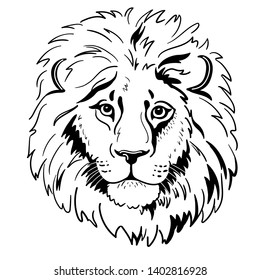 Lion portrait. Lion head isolated on white background. Template. Close-up. Clip art. Hand Painting. Ink. Dudling
