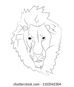 lion portrait, lines, vector, white background