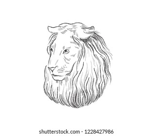 Lion proud, face in profile, looking into the distance, sketch, vector, black-and-white drawing. Logo design, lion concept vector template. Wildlife animal illustration, portrait monochrome background